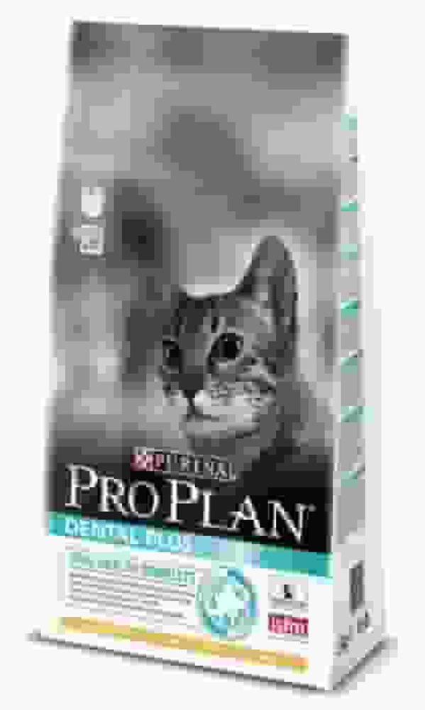 --Pro Plan Dental plus корм для кошек для ухода за полостью рта (ФАСОВКА) --Pro Plan Dental plus корм для кошек для ухода за полостью рта (ФАСОВКА)
