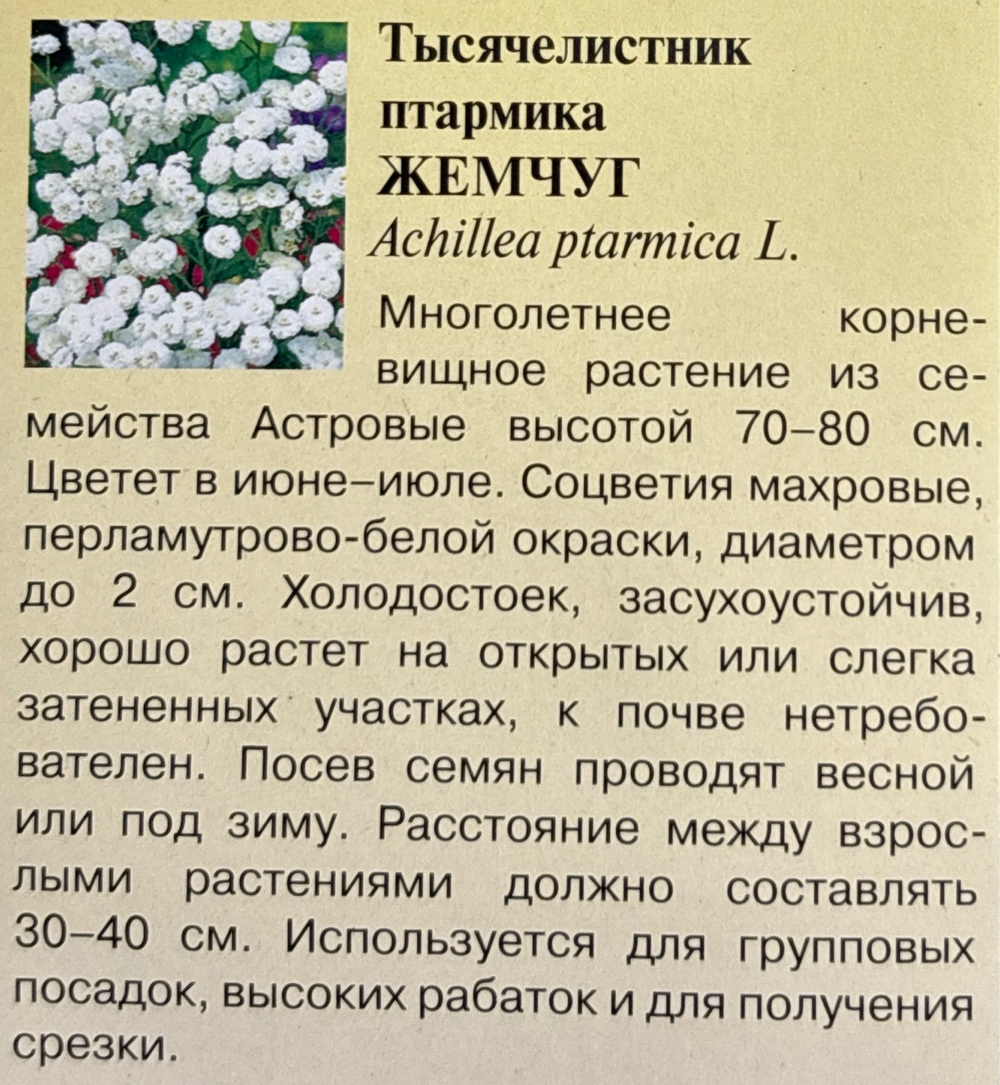 Тысячелистник Жемчуг белый 0,05 г СМЦ-943