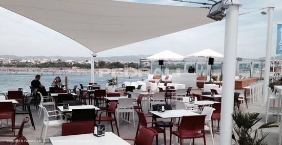 Стул пластиковый Ara