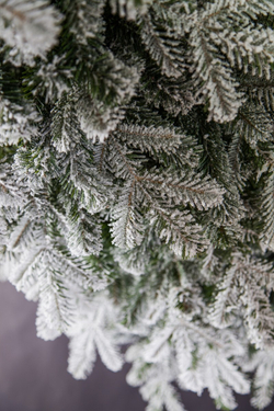 Ель 215см Black Box Сибирская заснеженная