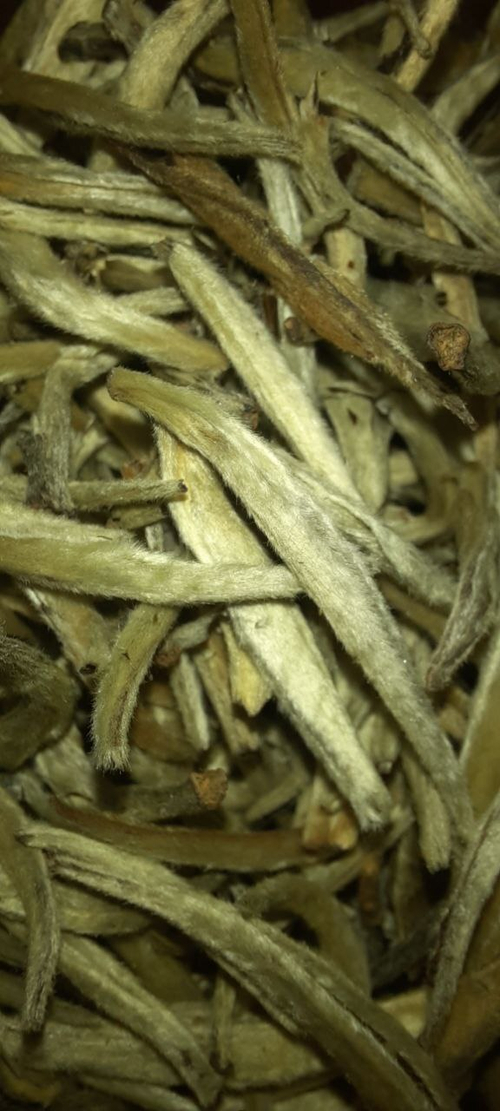 Бай Хао Инь Чжэнь (Юньнань) new!