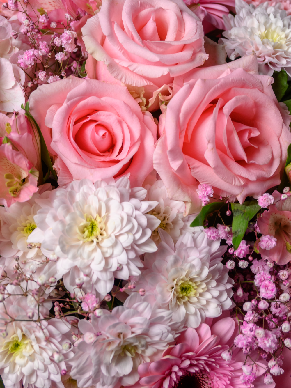 Начало любви *