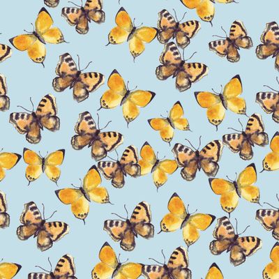 Тропические бабочки на голубом фоне