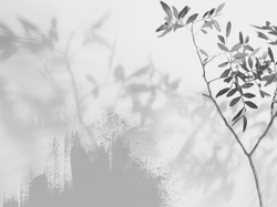 Коллекция VETVE 22