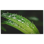 Панель для видеостены Dahua DHI-LS550UEH-UG