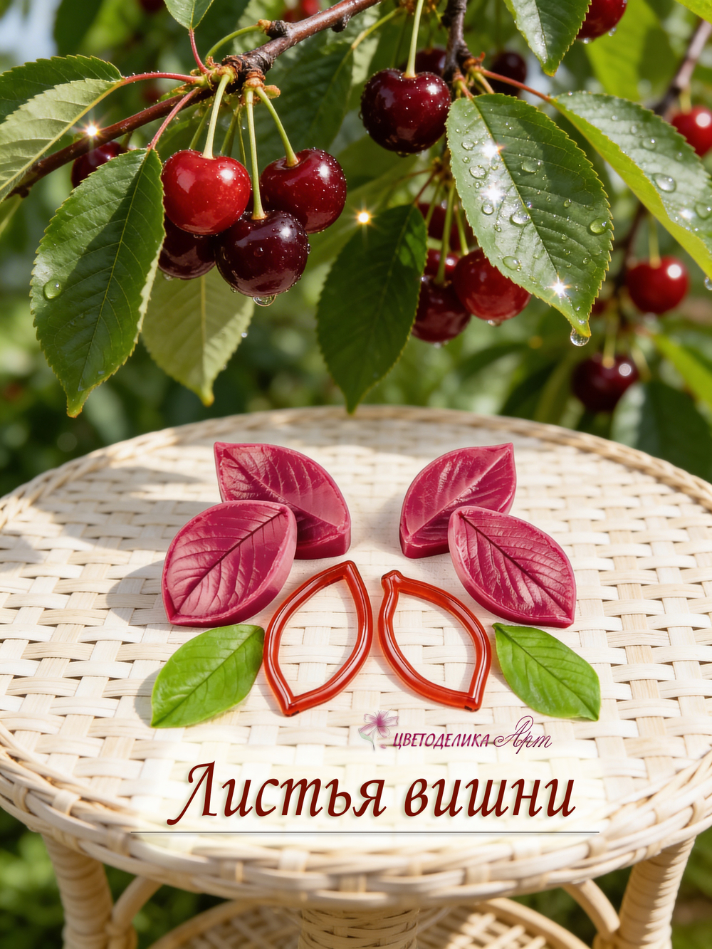 Листья вишни