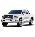 Great Wall Poer King Kong