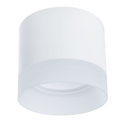 Накладной светильник Arte Lamp A5554PL-1WH