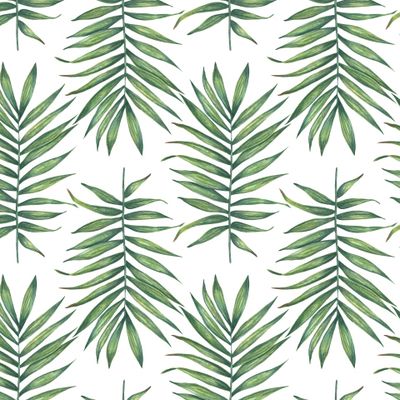 Акварельная пальмовая ветвь