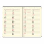 Ежедневник датированный 2025 МАЛЫЙ ФОРМАТ 100х150 мм А6, BRAUBERG "Iguana", под кожу, коричневый, 115743