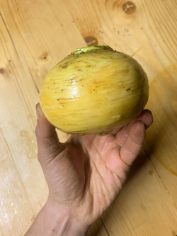 Репа жёлтая чищеная