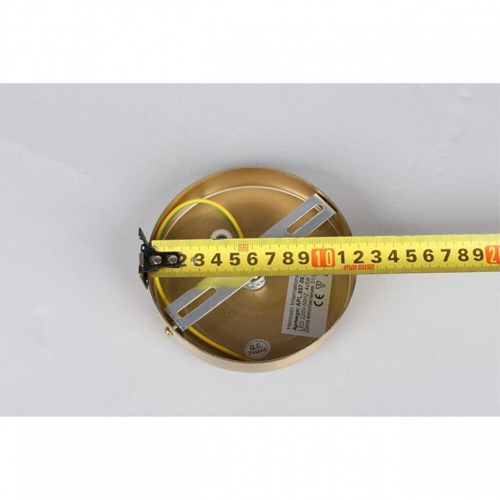 Подвесной светильник Aployt Aleksandra APL.857.06.20