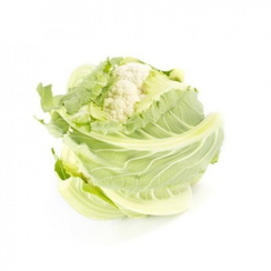 Беллами F1 семена капусты цветной (Rijk Zwaan / Райк Цваан)