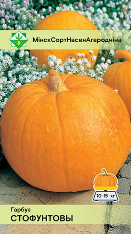 Тыква "Стофунтовая" 10шт, Россия.