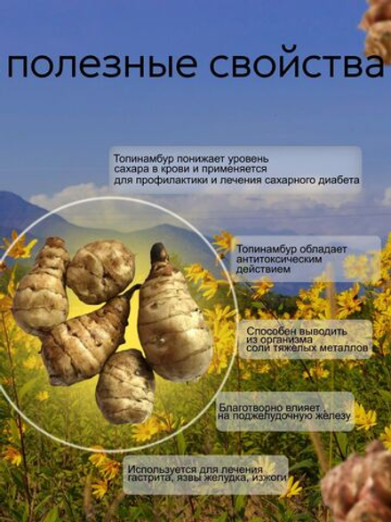 топинамбур клубни