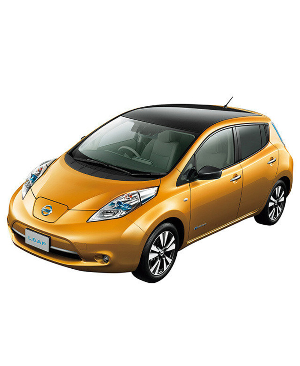 Nissan Leaf 1 поколение ZE0 (08.2009 - 09.2017)
