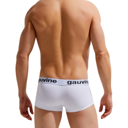 Мужские трусы боксеры белые GAUVINE 3006