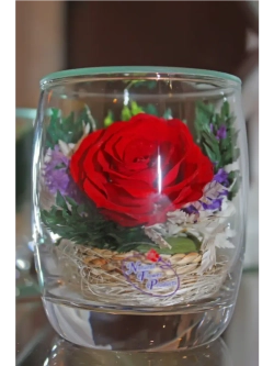 натуральные цветы в стекле, вакуум