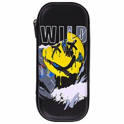 Penal \ Pencil case\ Пенал c органайзером BRAUBERG, 22х10х5 см, 272337