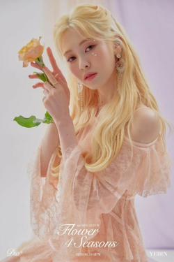 Альбом DIA - Flower 4 Seasons 6th Mini Album 2 Version SET