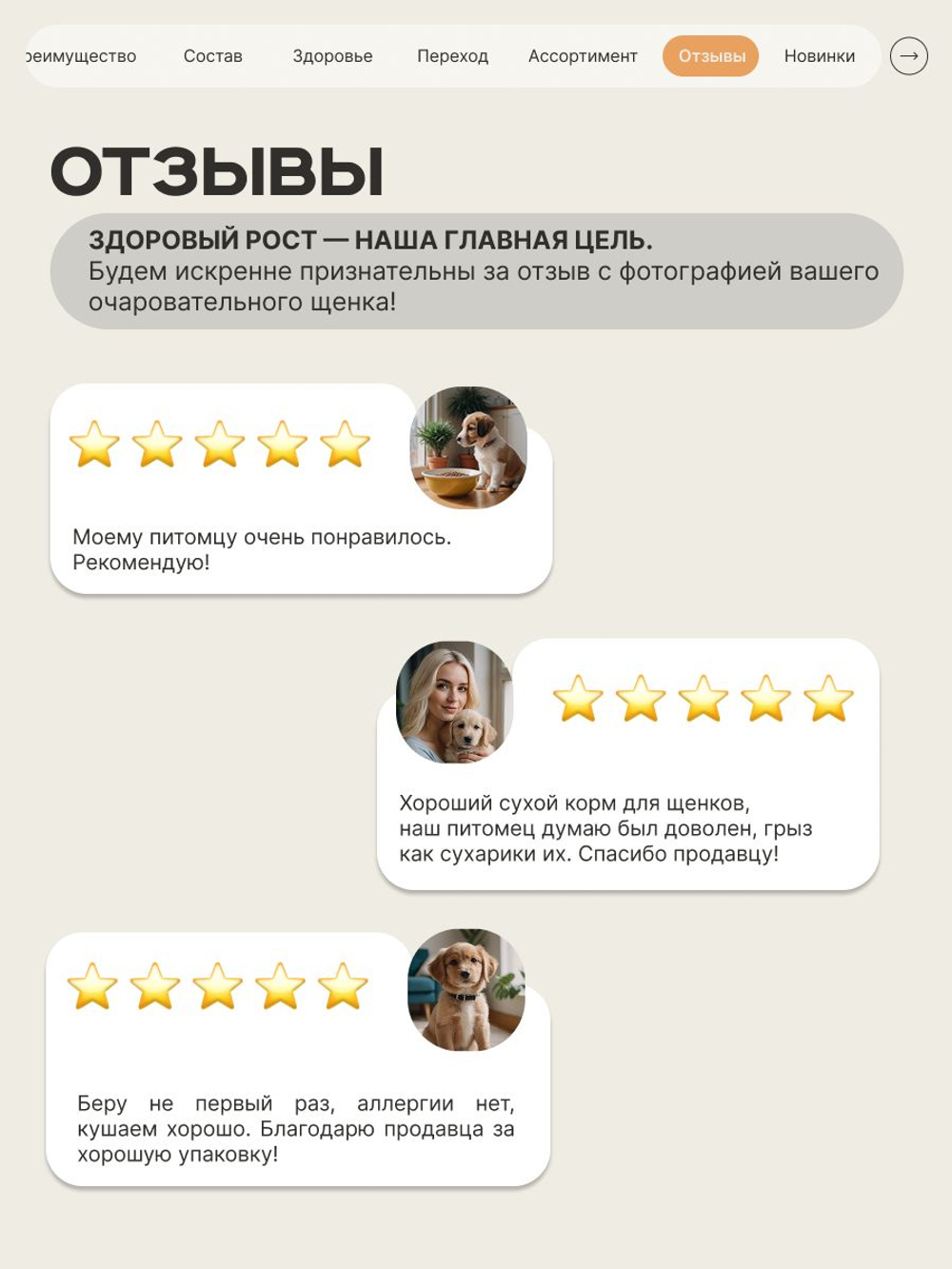 Корм сухой для щенков породы Джек Рассел Терьер, с индейкой, 3 кг, QUATTRO
