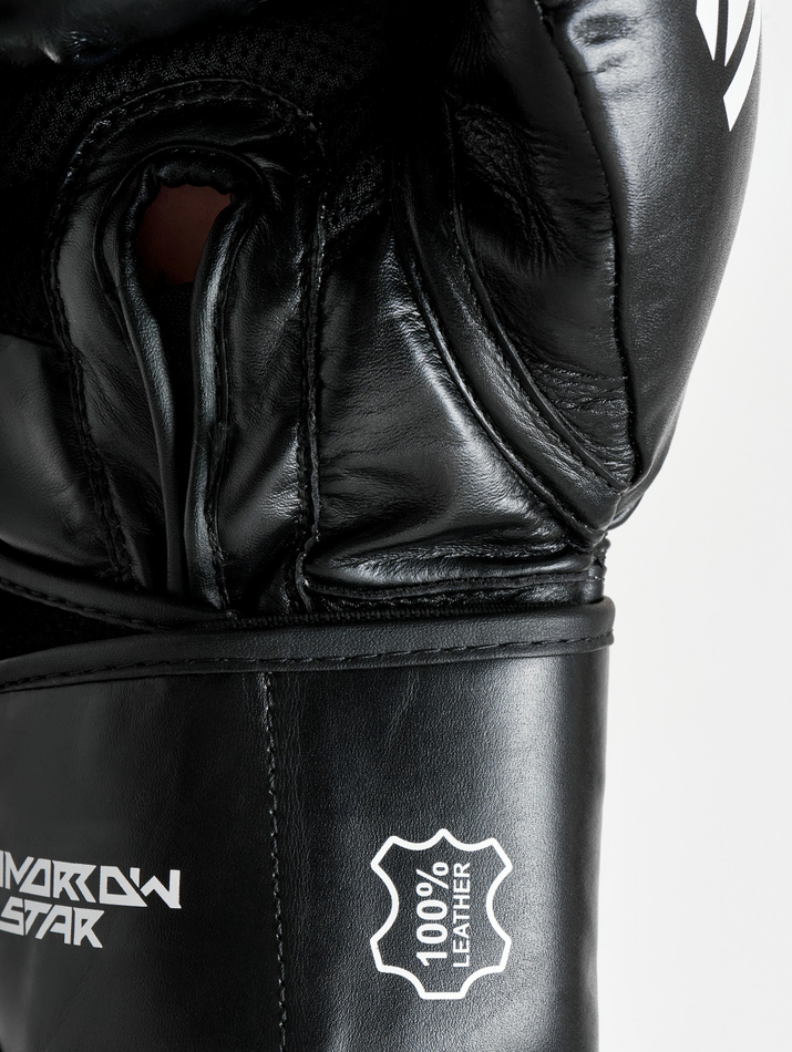 Перчатки боксерские Pay Attention on Tomorrow Star (натуральная кожа)