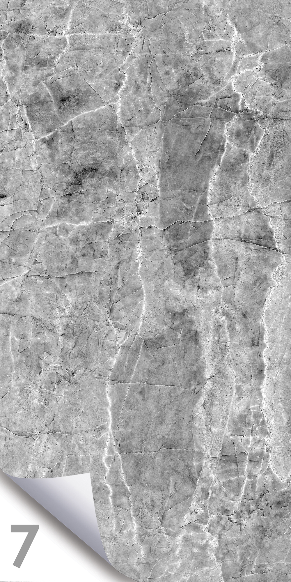 Шерл Сильвер