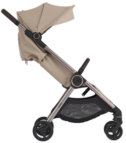 Детская коляска Anex iQ Premium NT 2 в 1 iQ-13-DNA seal