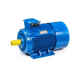 Электродвигатель 5АИ 200 L4 45/1500 IM1001