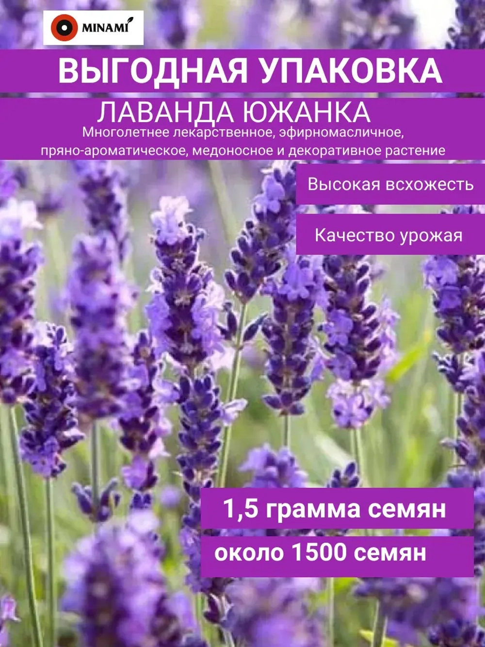 Лаванда Южанка многолетняя