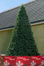 Большая елка «Клеопатра» (пвх) от 3 м до 6,5 м