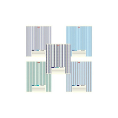 Тетрадь 80 л. линия Hatber LINE 80Т5B1