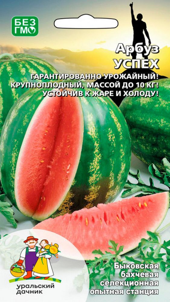 Арбуз "G. Успех" 10шт., Россия. Арбуз "G. Успех" 10шт., Россия.