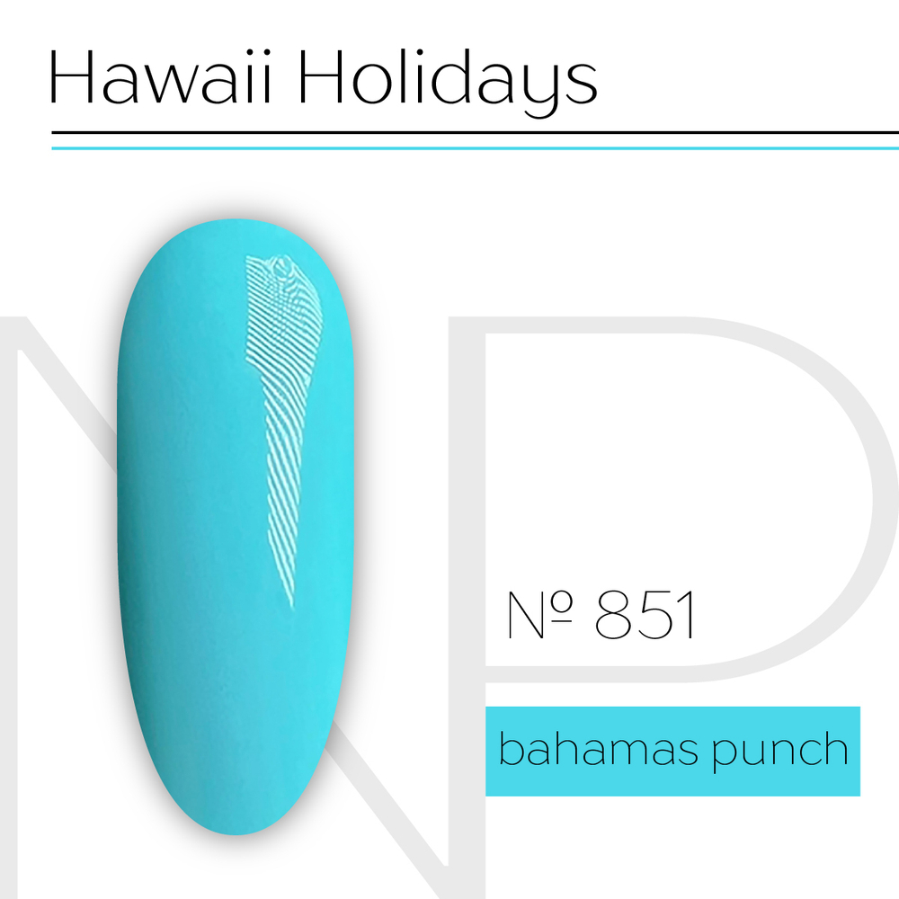 Nartist 851 Bahamas punch 10g