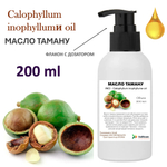 Масло таману / Calophyllum inophyllumи oil