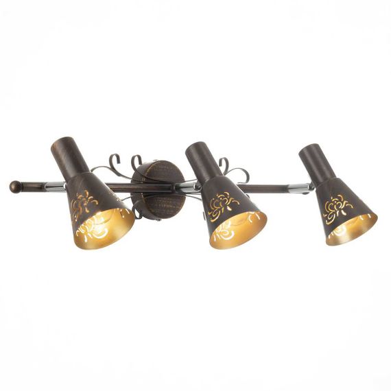 Спот Citilux Дункан CL529531