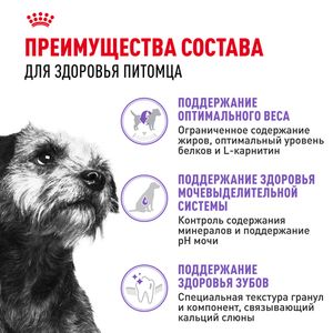 Уценка! Срок 03.08.26/ Сухой корм Royal Canin Mini Sterilised для взрослых стерилизованных собак мелких размеров, склонных к набору веса