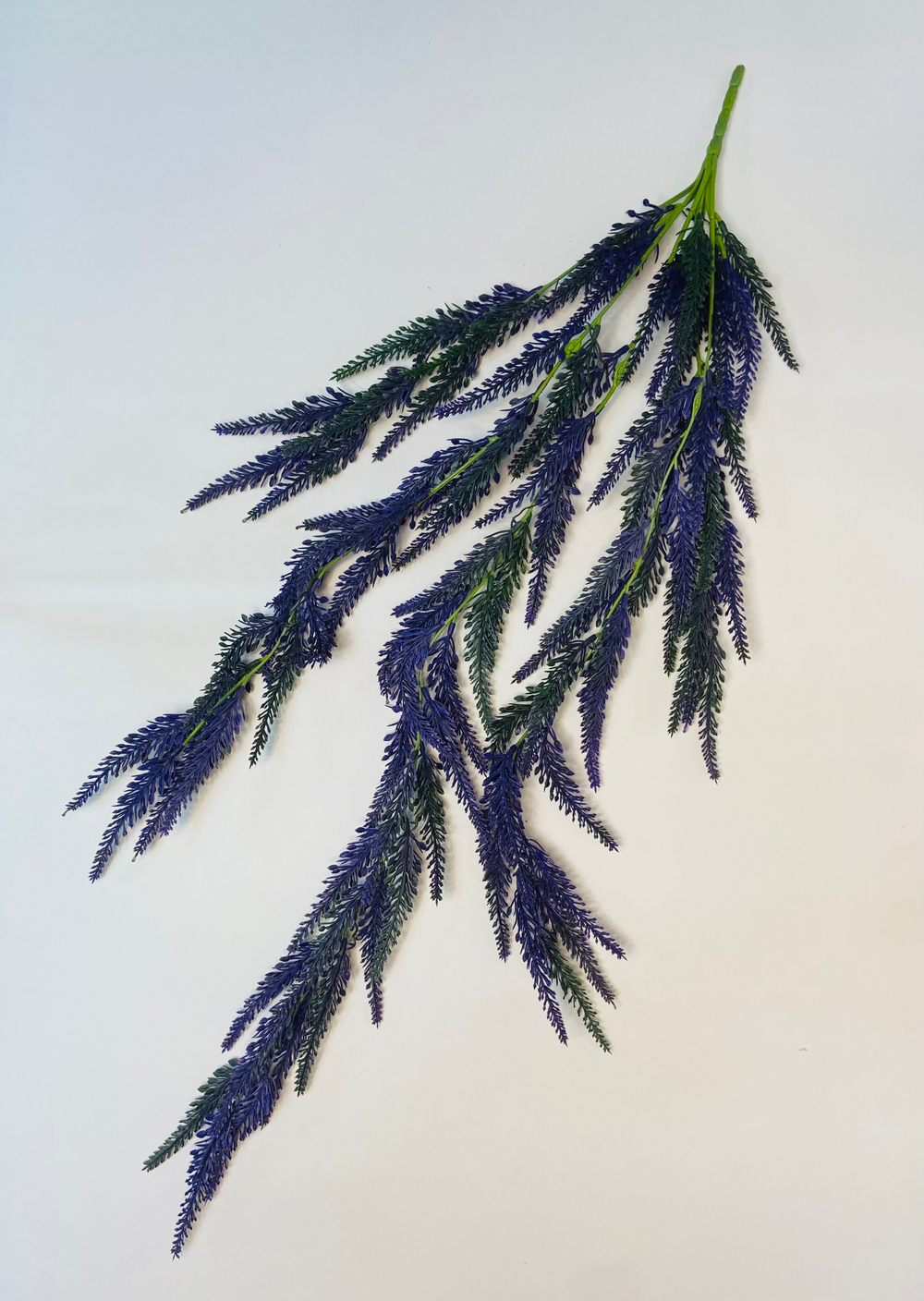 Лаванда ампельная