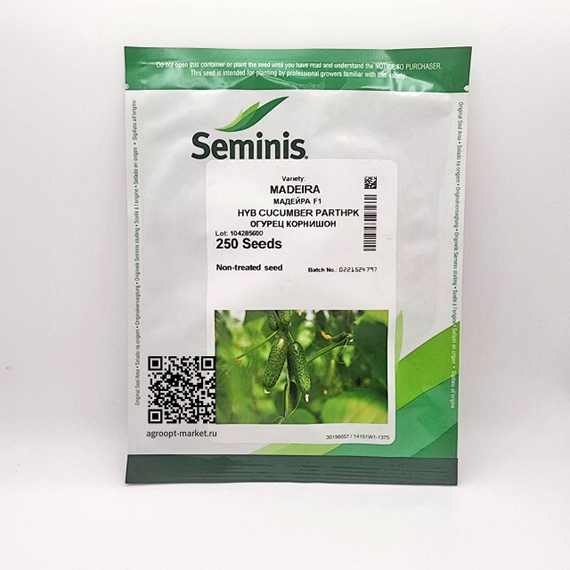 Мадейра_F1_семена_огурца_партенокарпического_Seminis_купить – фото 4