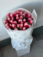 Букет из 35-ти красно-белых тюльпанов