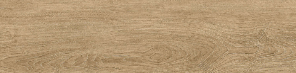 Керамогранит Baltic_GT темно-бежевый 19,8x80 GT208021210MСR