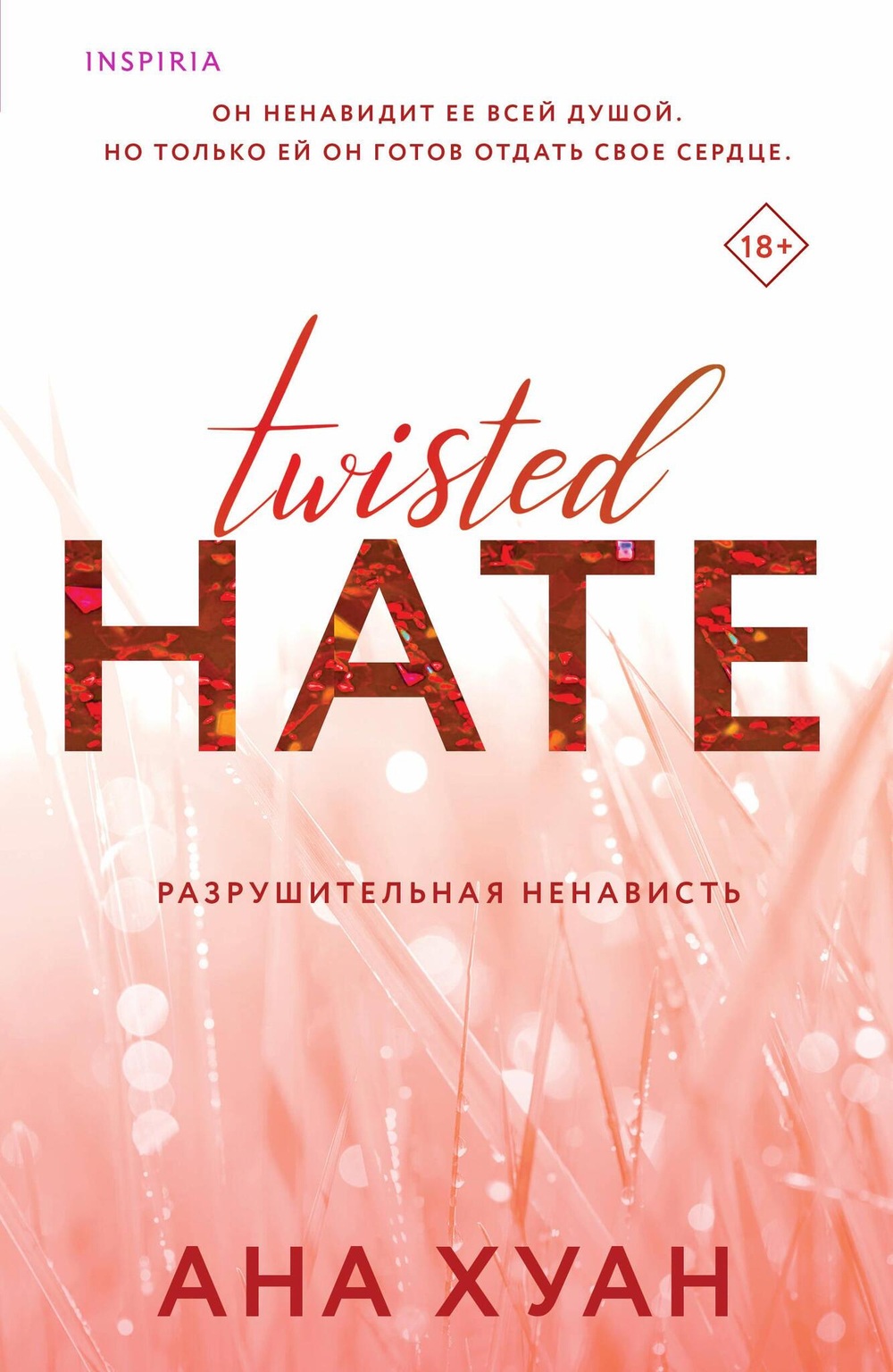 Разрушительная ненависть (Twisted Hate #3)