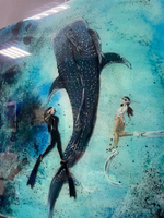 Сердце океана