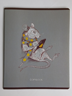 Тетради 48 листа А5+. "Сарказм", общая, клетка. Формат А5+ (163*203 мм). Арт.120014. С полями. Комплект 5 шт.