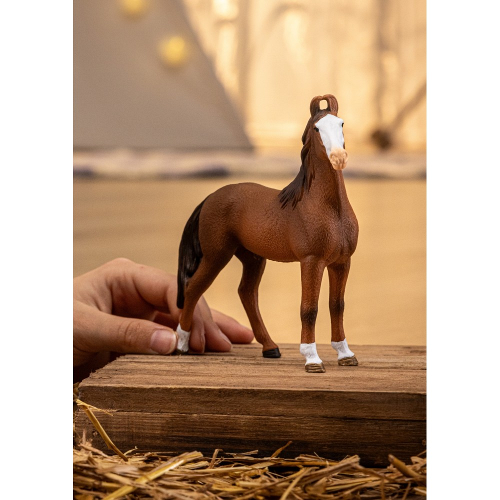 Schleich S 14897 — Кобыла марвари — Horse Club — фото 2