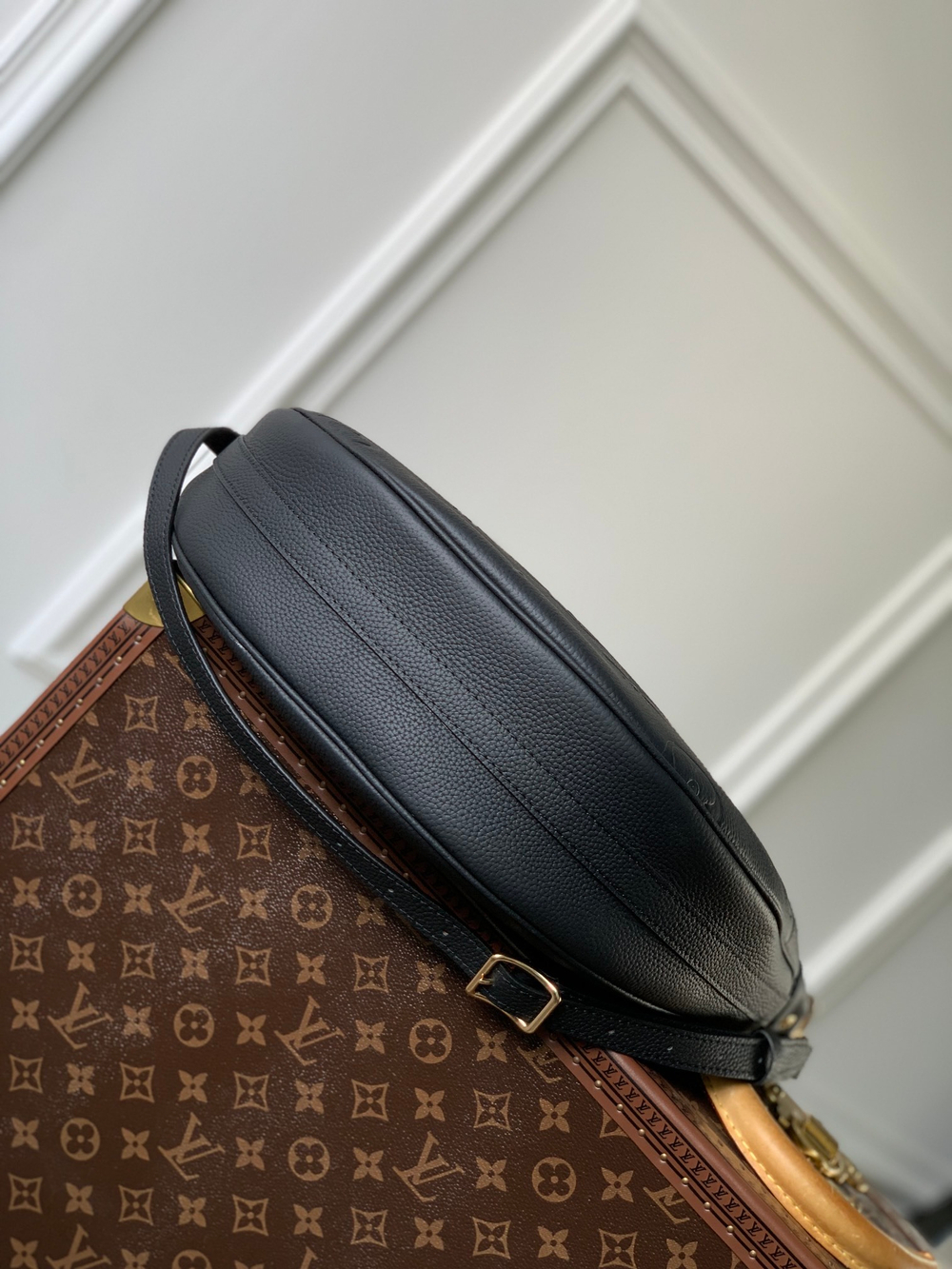 Louis Vuitton Loop Hobo Bag