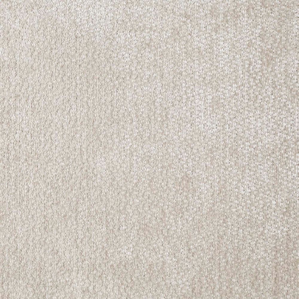 Шенилл Бостон (Boston) 02