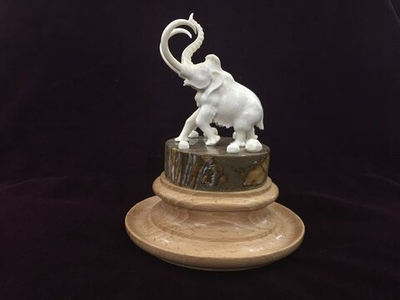 Мамонт трубящий