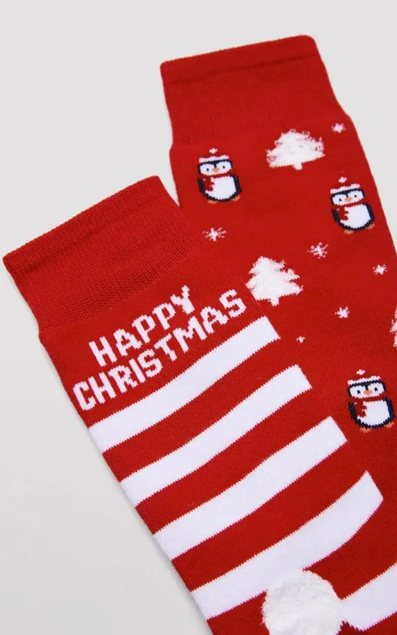 22173 Носки мужские 2 пары в упаковке