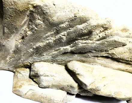 Фон для террариума 70х40, "Угловой".